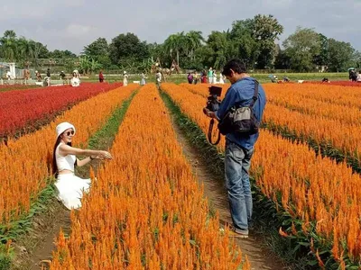 ทริปท่องเที่ยว