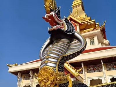 ภาพแกลลอรี่ 9